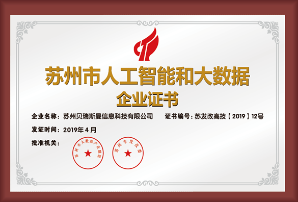 苏州市人工智能和大数据企业证书